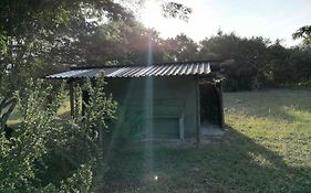 Kingfisher Bush Lodge
