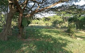 Kingfisher Bush Lodge